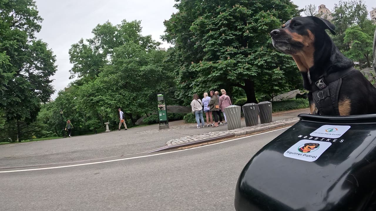 Patrol photo from Central Park on 2026-05-21T00:00:00.000Z