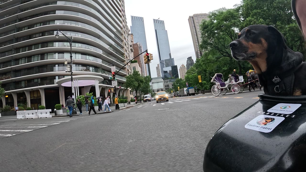 Patrol photo from Central Park on 2026-05-21T00:00:00.000Z
