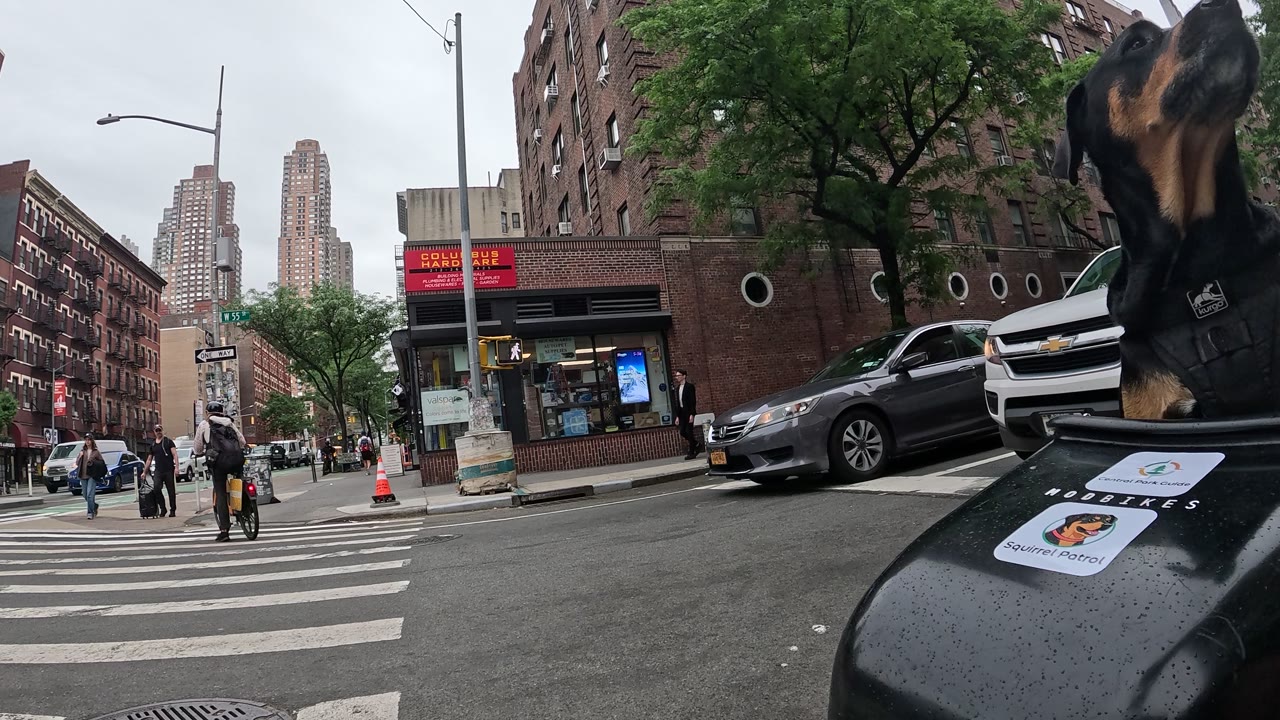 Patrol photo from Central Park on 2026-05-21T00:00:00.000Z