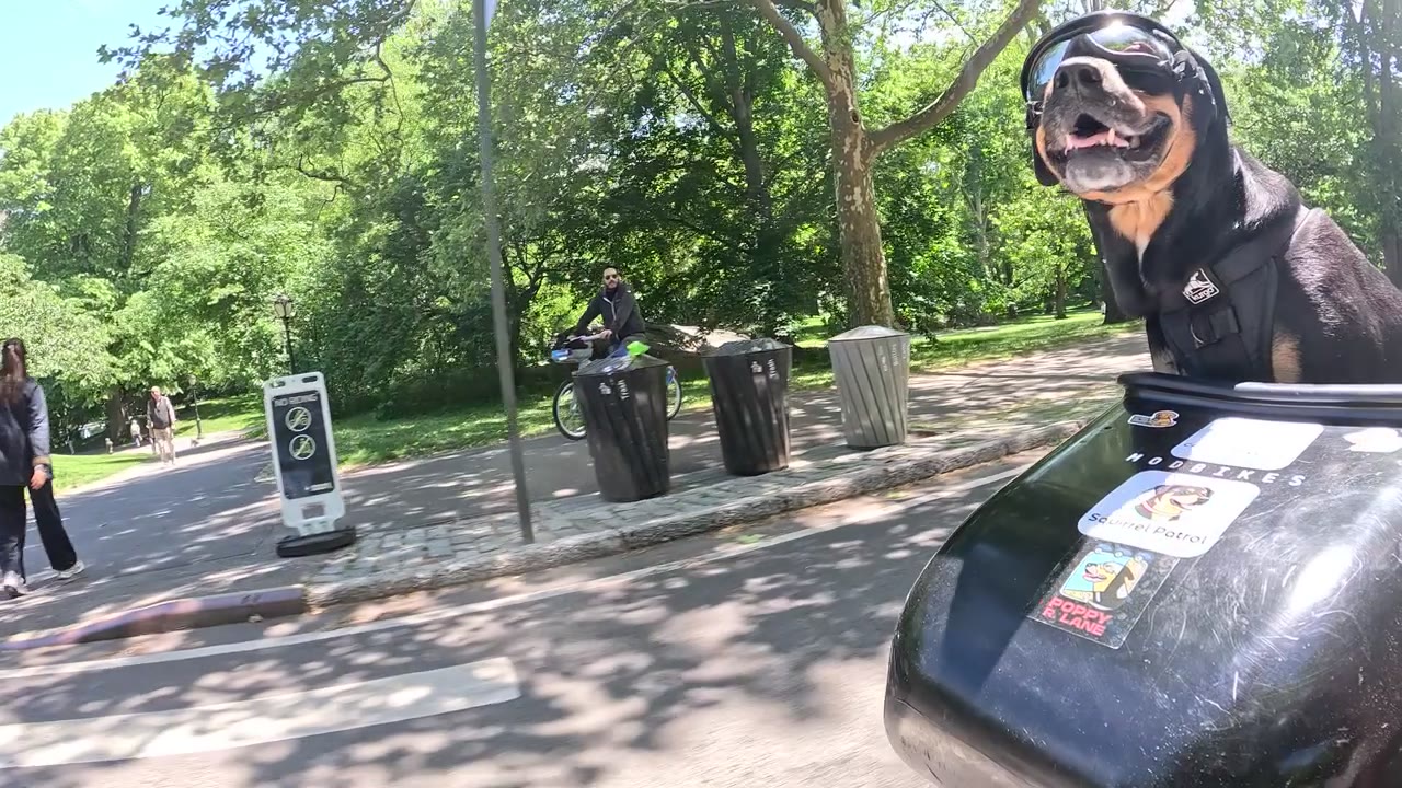 Patrol photo from Central Park on 2026-05-22T00:00:00.000Z