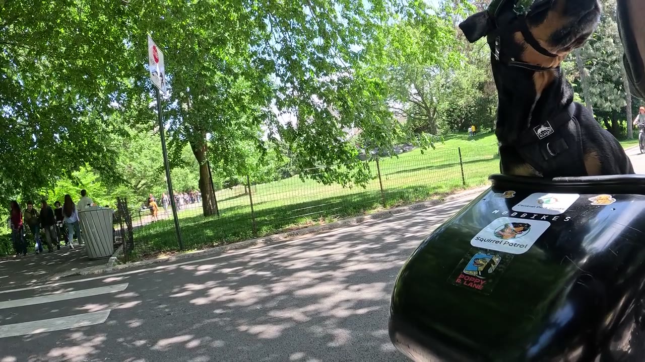 Patrol photo from Central Park on 2026-05-22T00:00:00.000Z