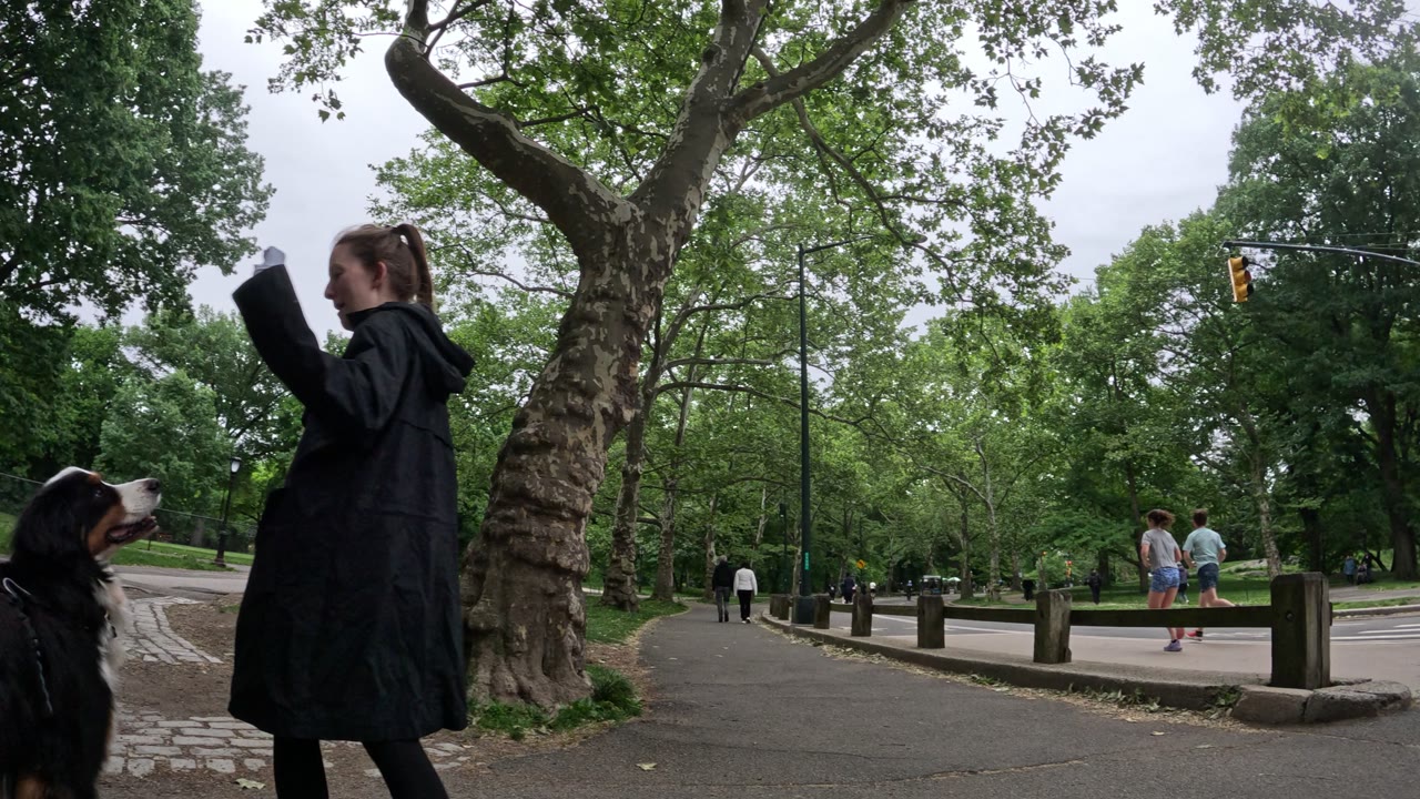 Patrol photo from Central Park on 2026-05-23T00:00:00.000Z