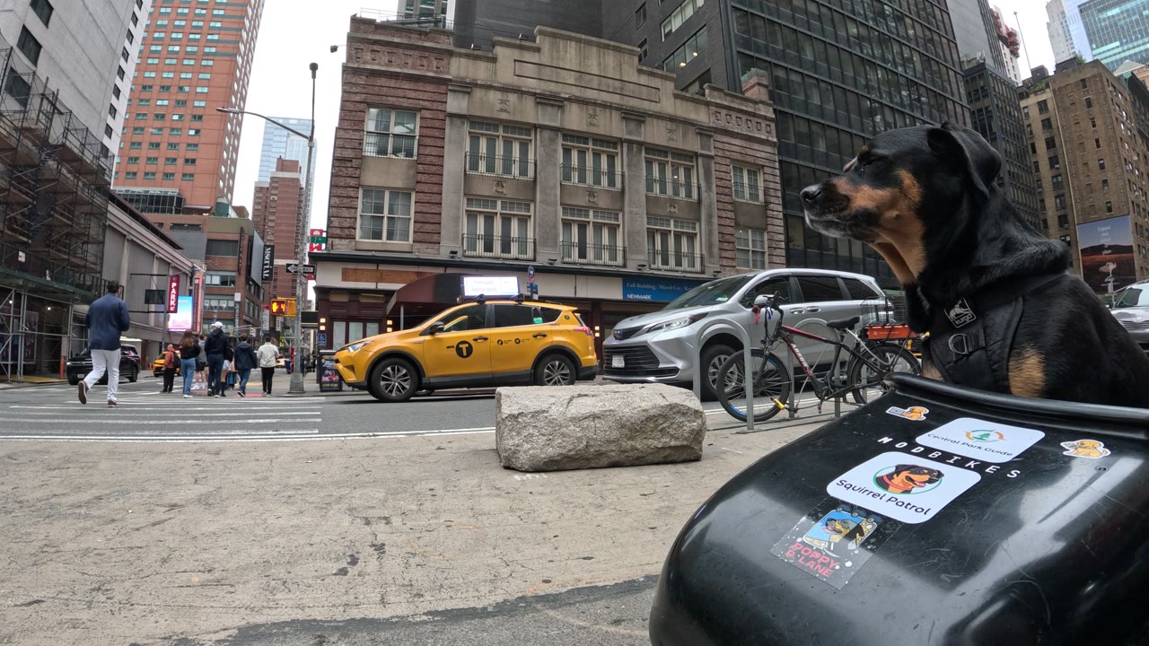 Patrol photo from Central Park on 2026-05-23T00:00:00.000Z