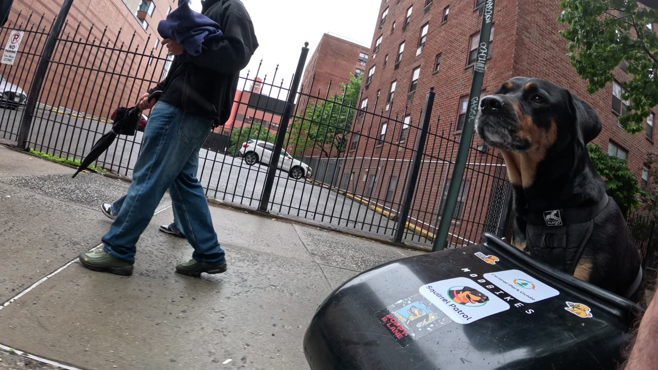 Patrol photo from Central Park on 2026-05-24T00:00:00.000Z