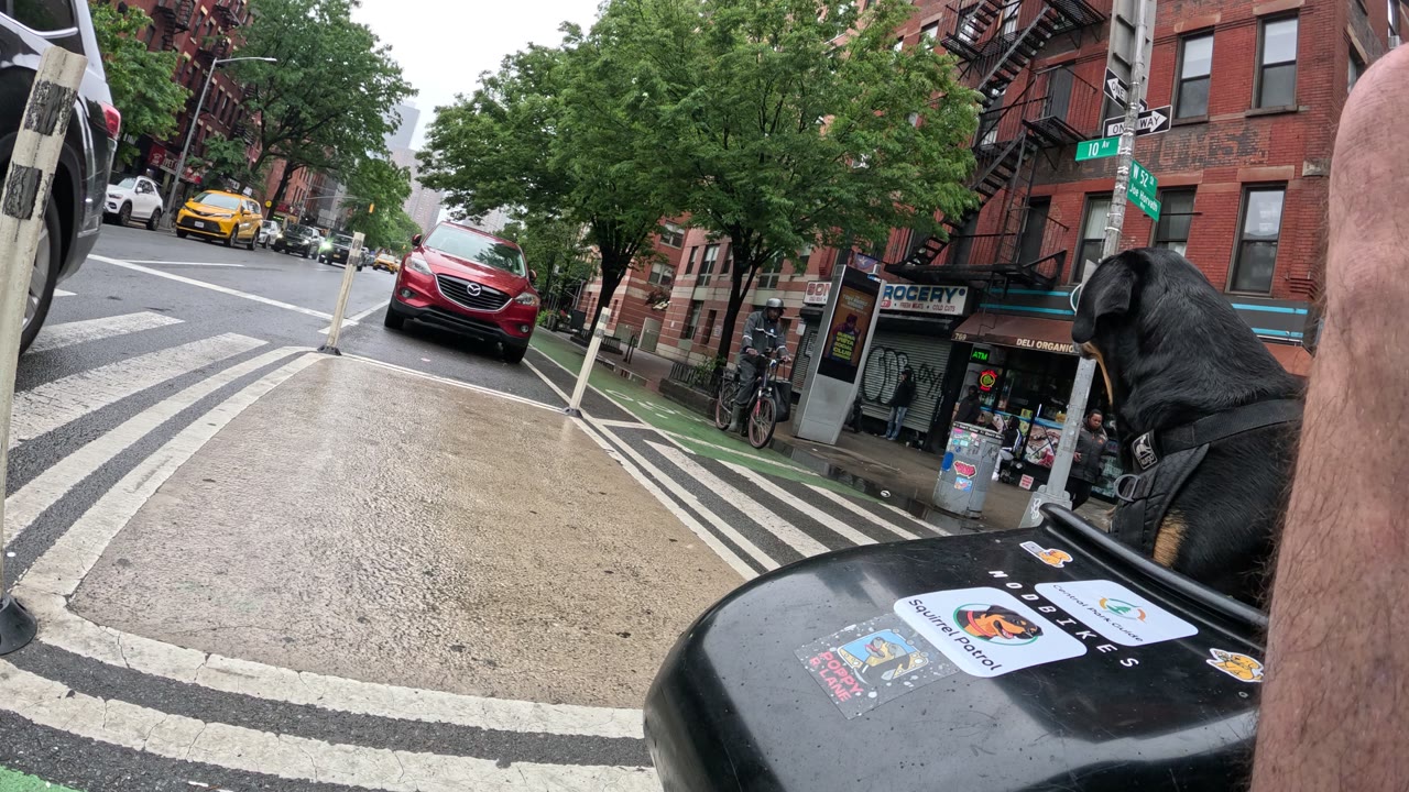 Patrol photo from Central Park on 2026-05-24T00:00:00.000Z
