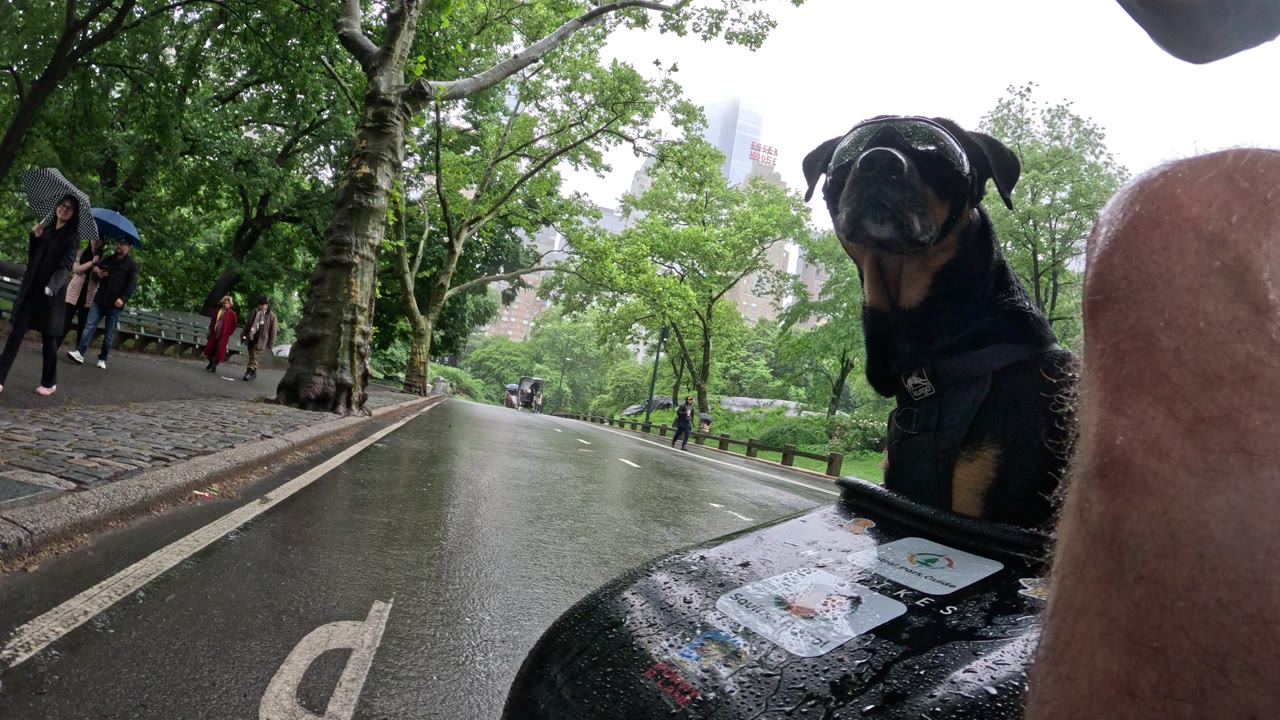 Patrol photo from Central Park on 2026-05-24T00:00:00.000Z