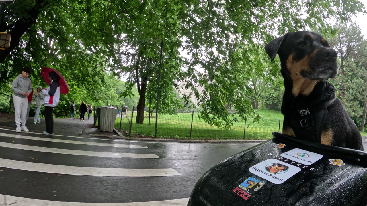 Patrol photo from Central Park on 2026-05-24T00:00:00.000Z
