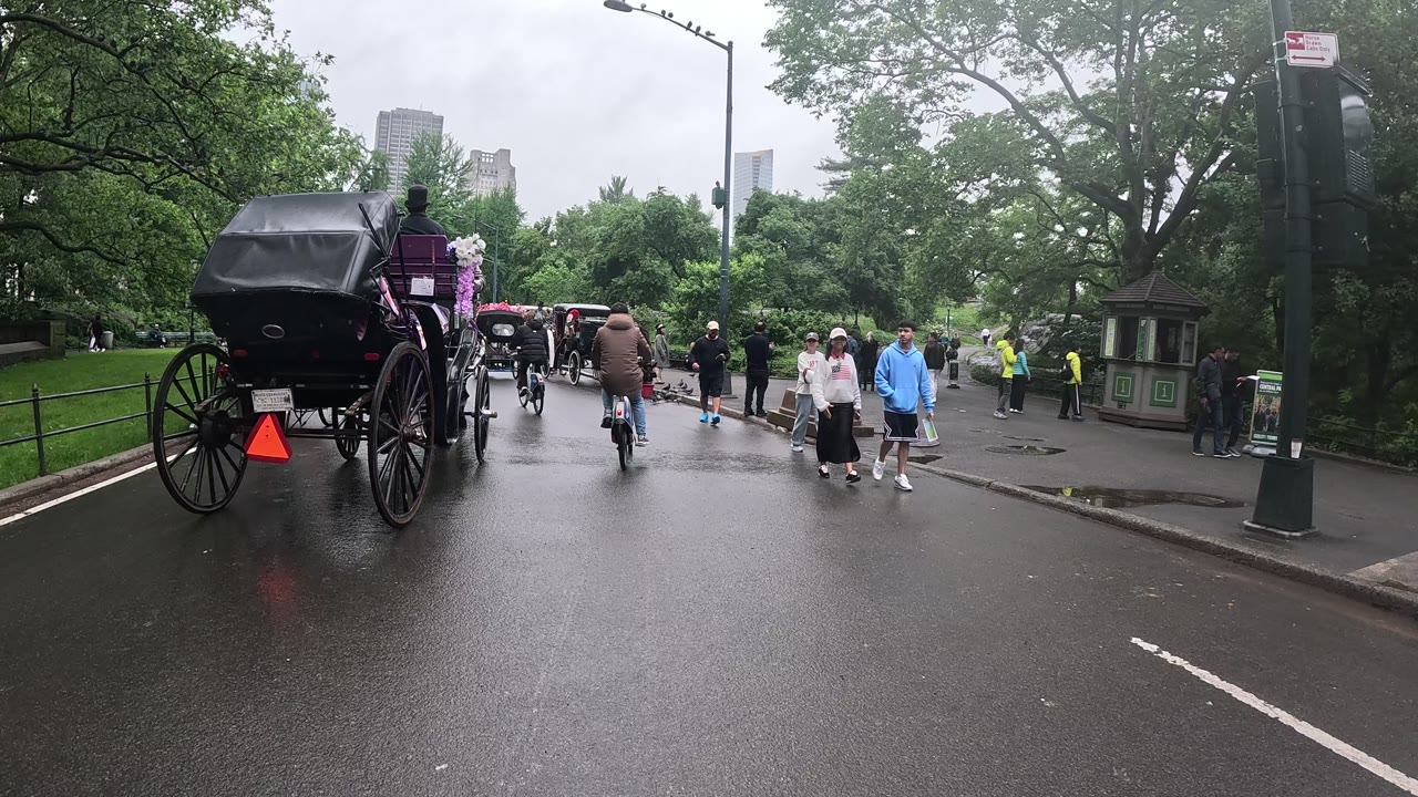 Patrol photo from Central Park on 2026-05-25T00:00:00.000Z