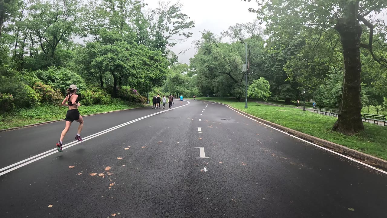 Patrol photo from Central Park on 2026-05-25T00:00:00.000Z