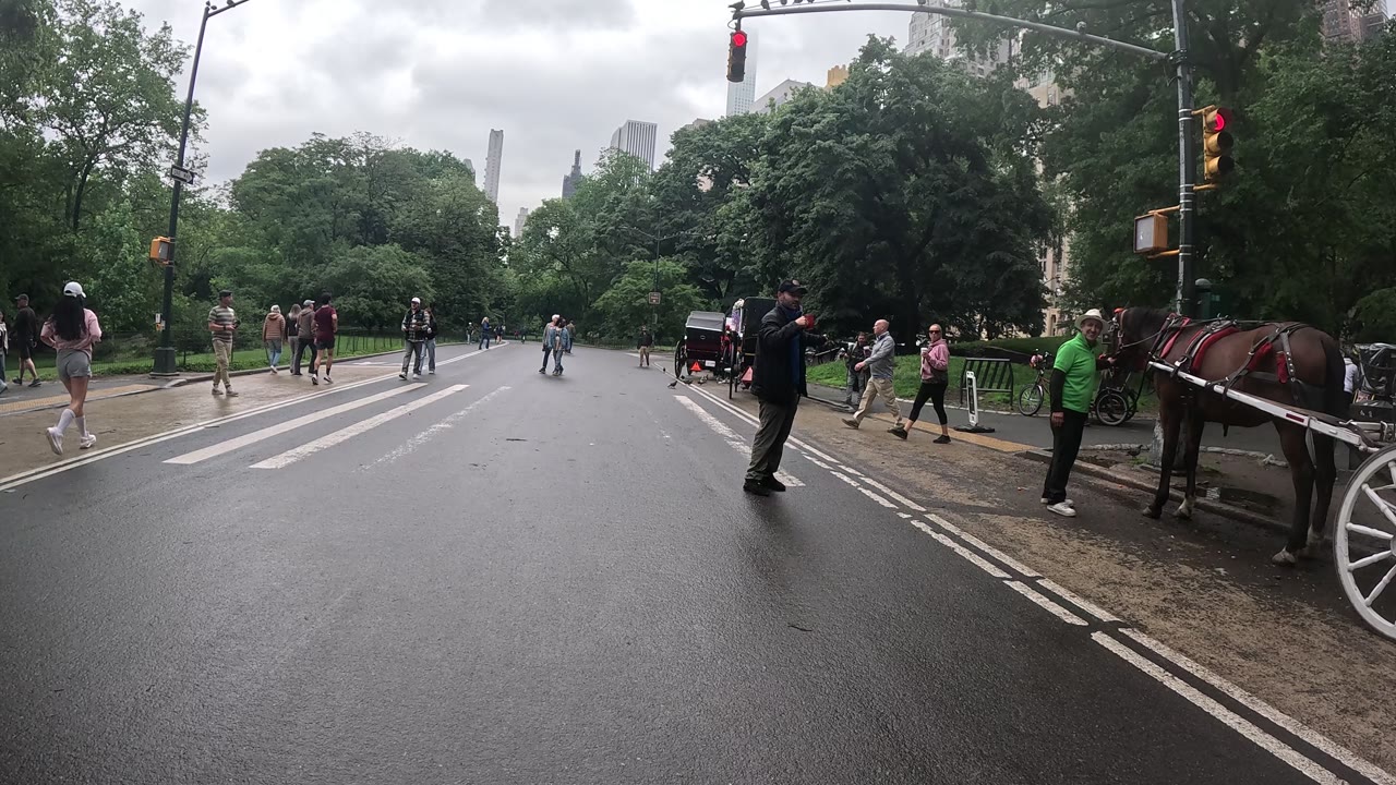 Patrol photo from Central Park on 2026-05-25T00:00:00.000Z