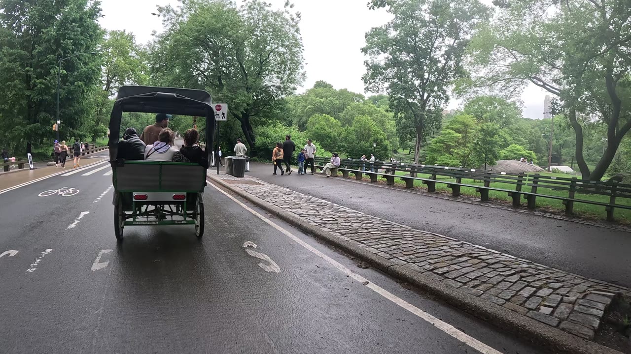 Patrol photo from Central Park on 2026-05-25T00:00:00.000Z