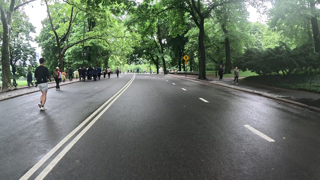 Patrol photo from Central Park on 2026-05-25T00:00:00.000Z