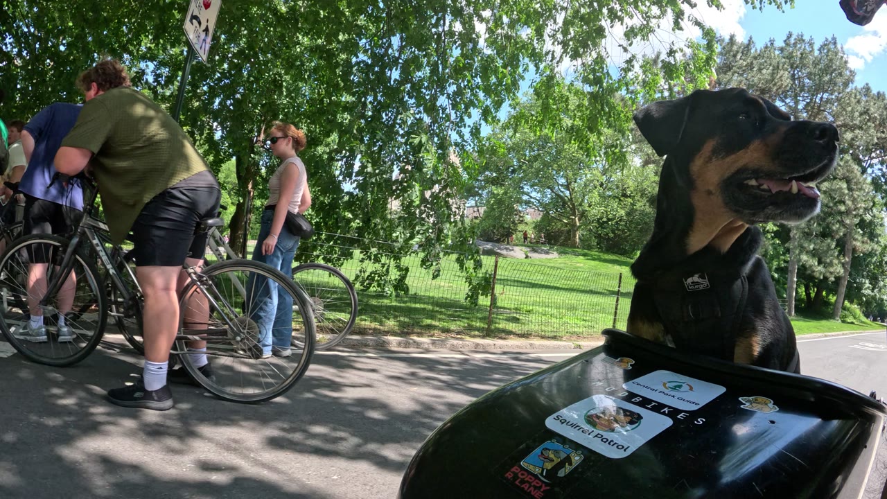 Patrol photo from Central Park on 2026-05-29T00:00:00.000Z