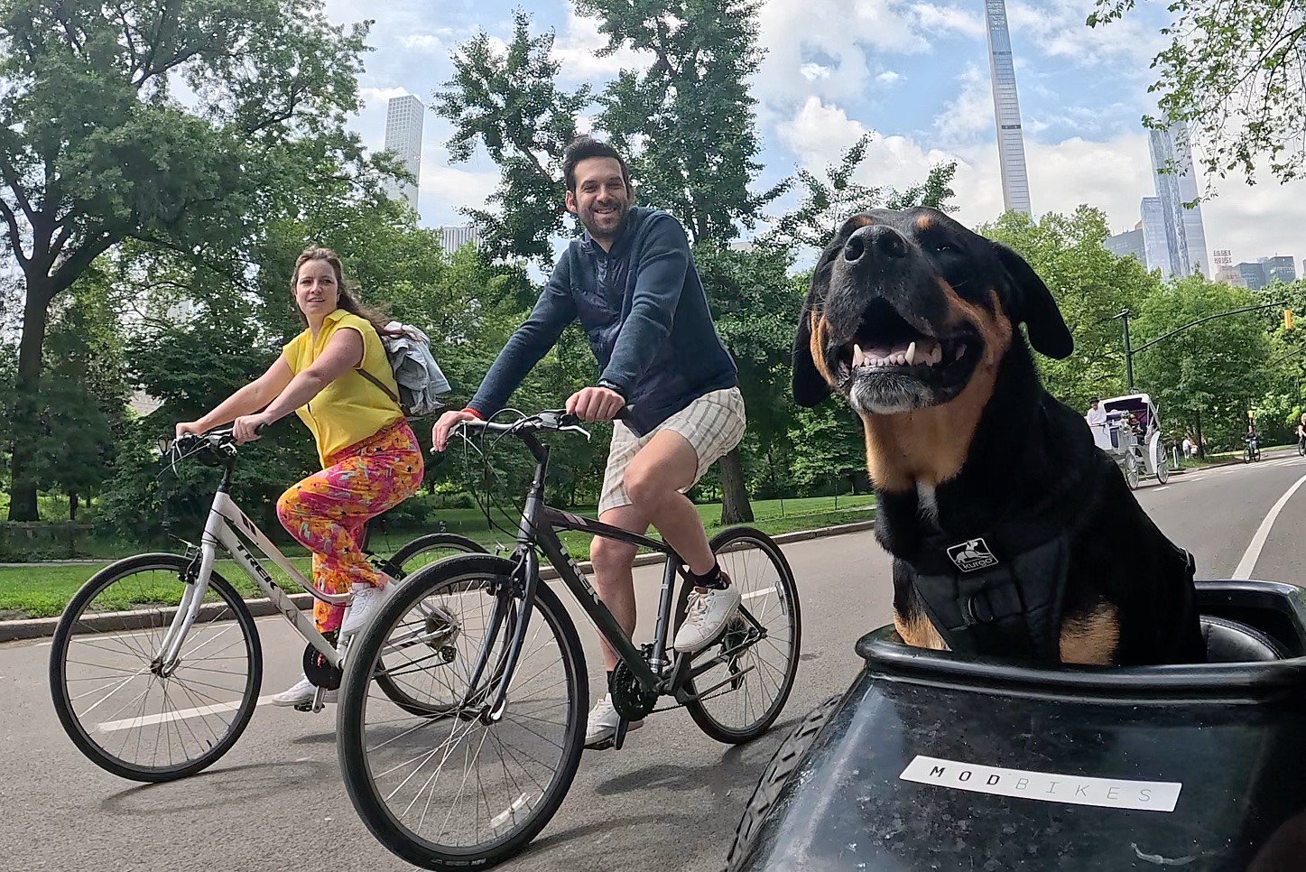 Poppy R. Lane's Picture