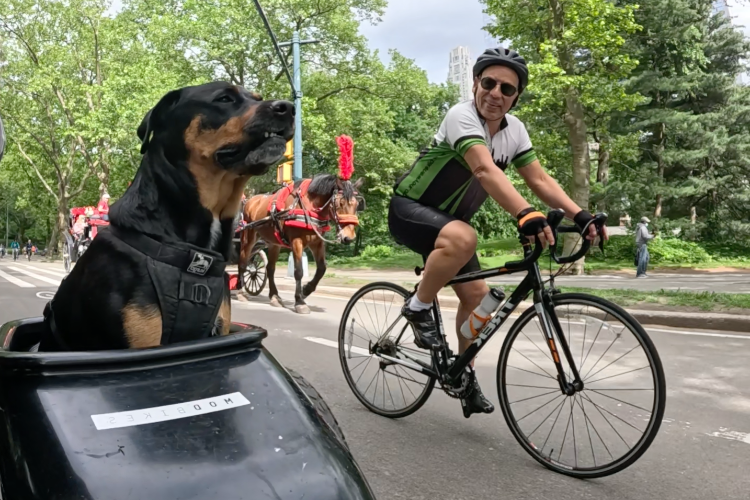 Talking With The Spandex Warrriors