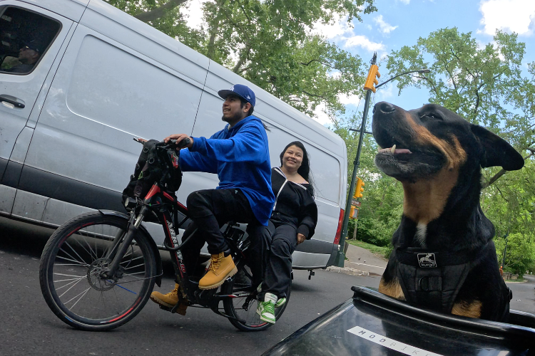 Riding With a Passenger