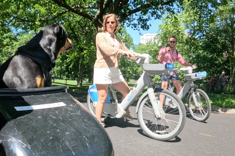 Meeting People in the Park