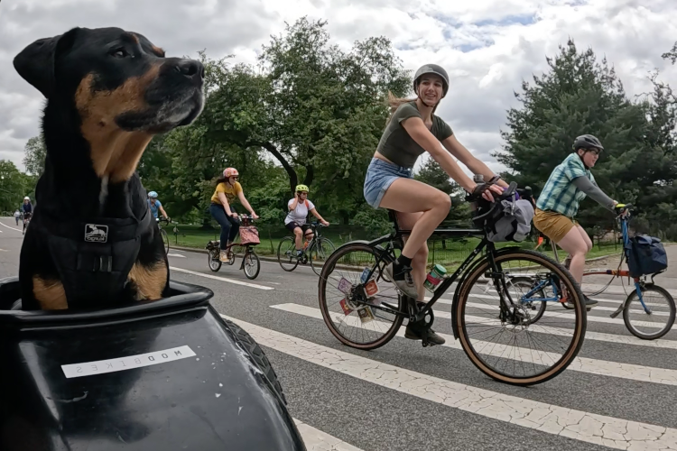 My Biking Group Friends