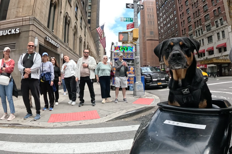 Showing Off for the Tourists