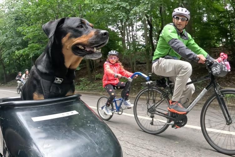 Love Seeing Families Riding